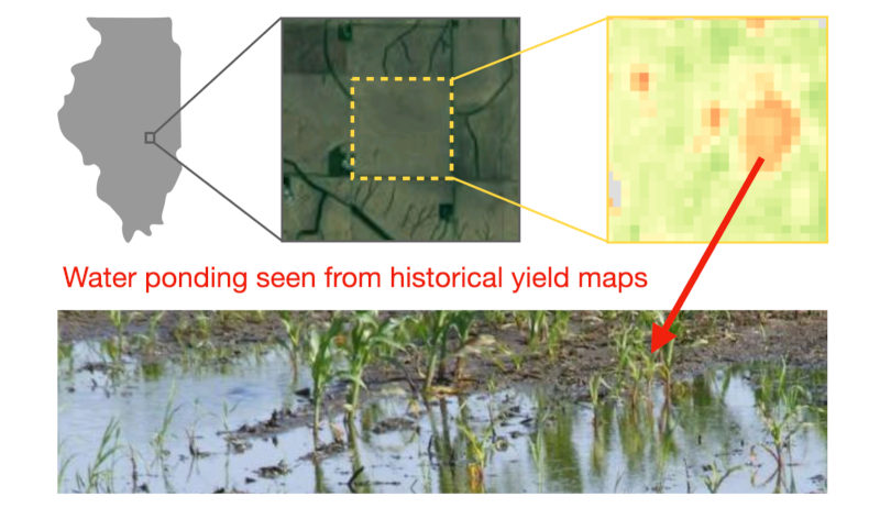ponding causing low crop productivity