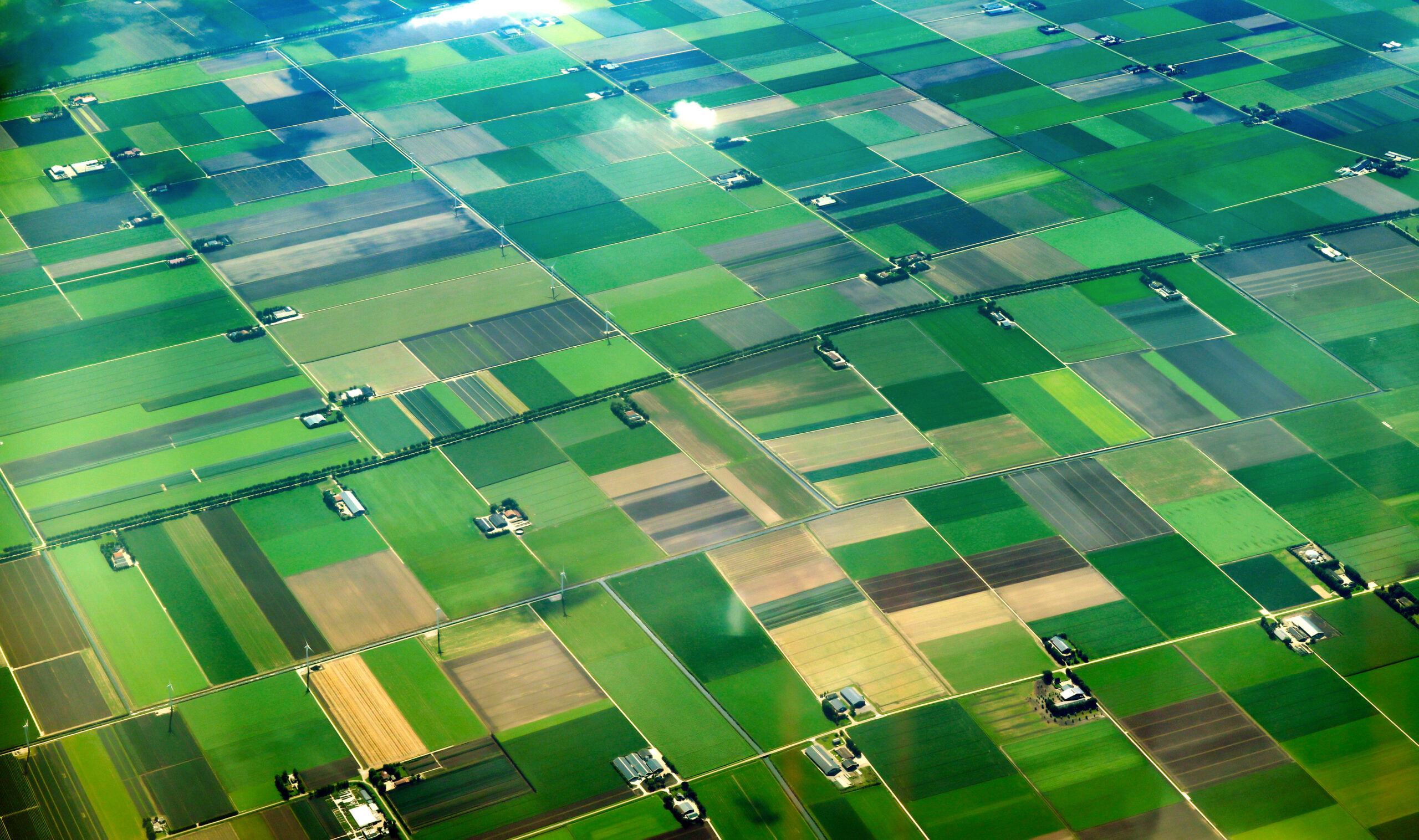 Areal view of farmland