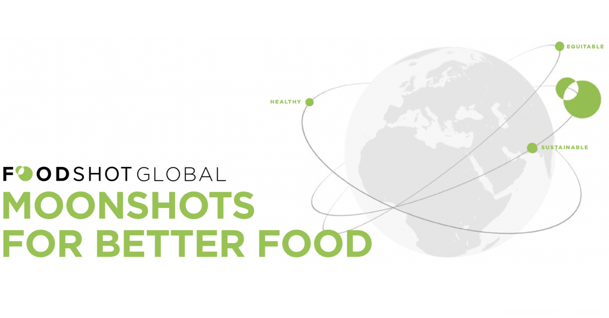 FoodShot Global logo