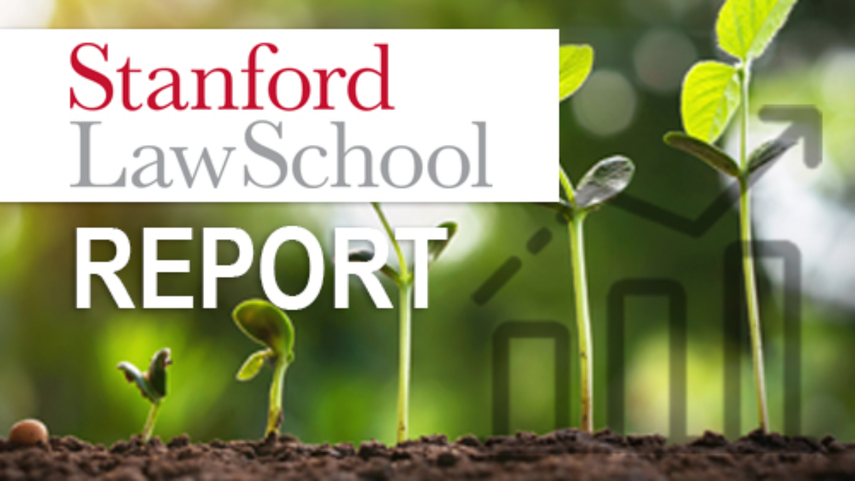 Stanford Law School Report