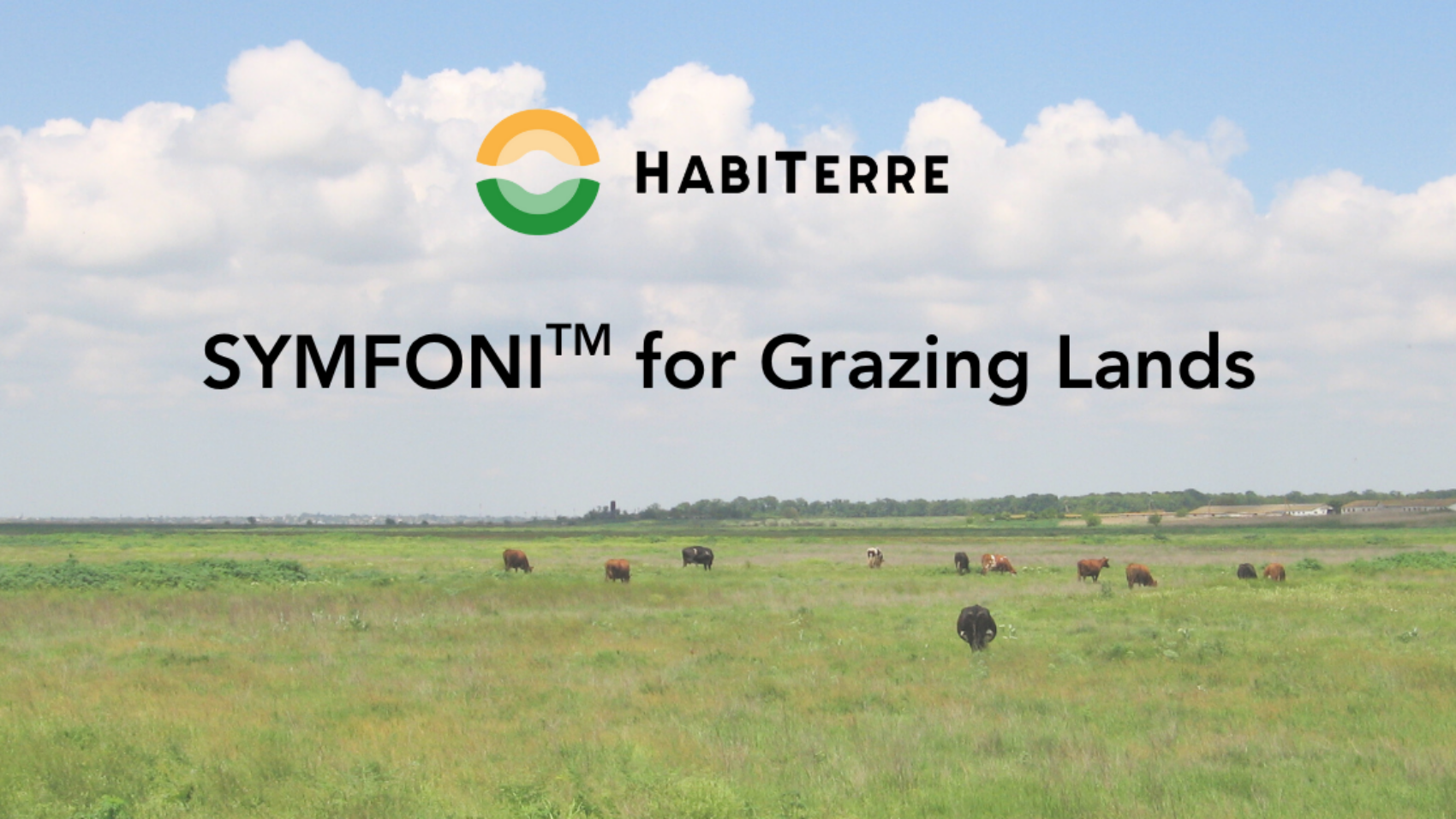 SYMFONI for Grazing Land text over picture of grazing cattle