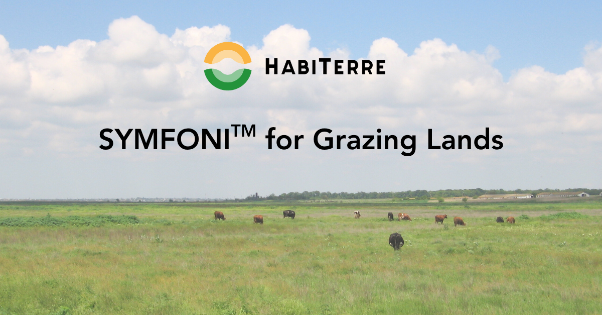 SYMFONI for Grazing Land text over picture of grazing cattle